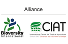 Alliance-logo.png