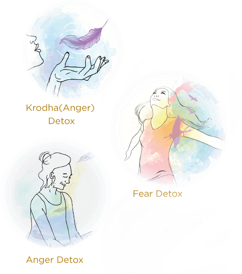 practice-detox-images.png